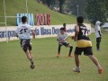 Tn dsc 2550